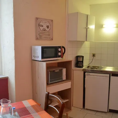 Apartment Aux Volets Bleus D'aulus *