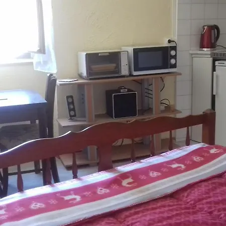 Aux Volets Bleus D'aulus Apartment *