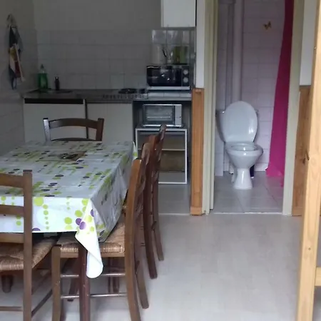 Aux Volets Bleus D'aulus Apartment *