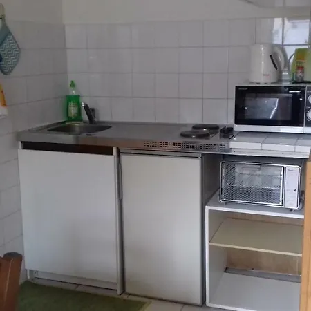 Apartment Aux Volets Bleus D'aulus *