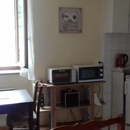 Aux Volets Bleus D'aulus Apartment *