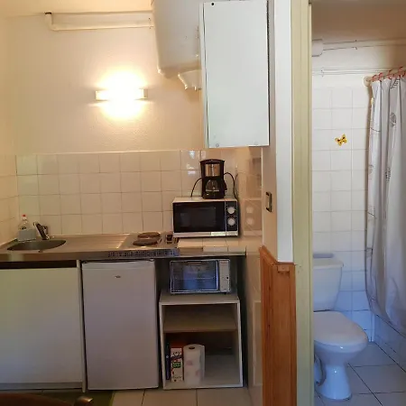 Aux Volets Bleus D'aulus Apartment *